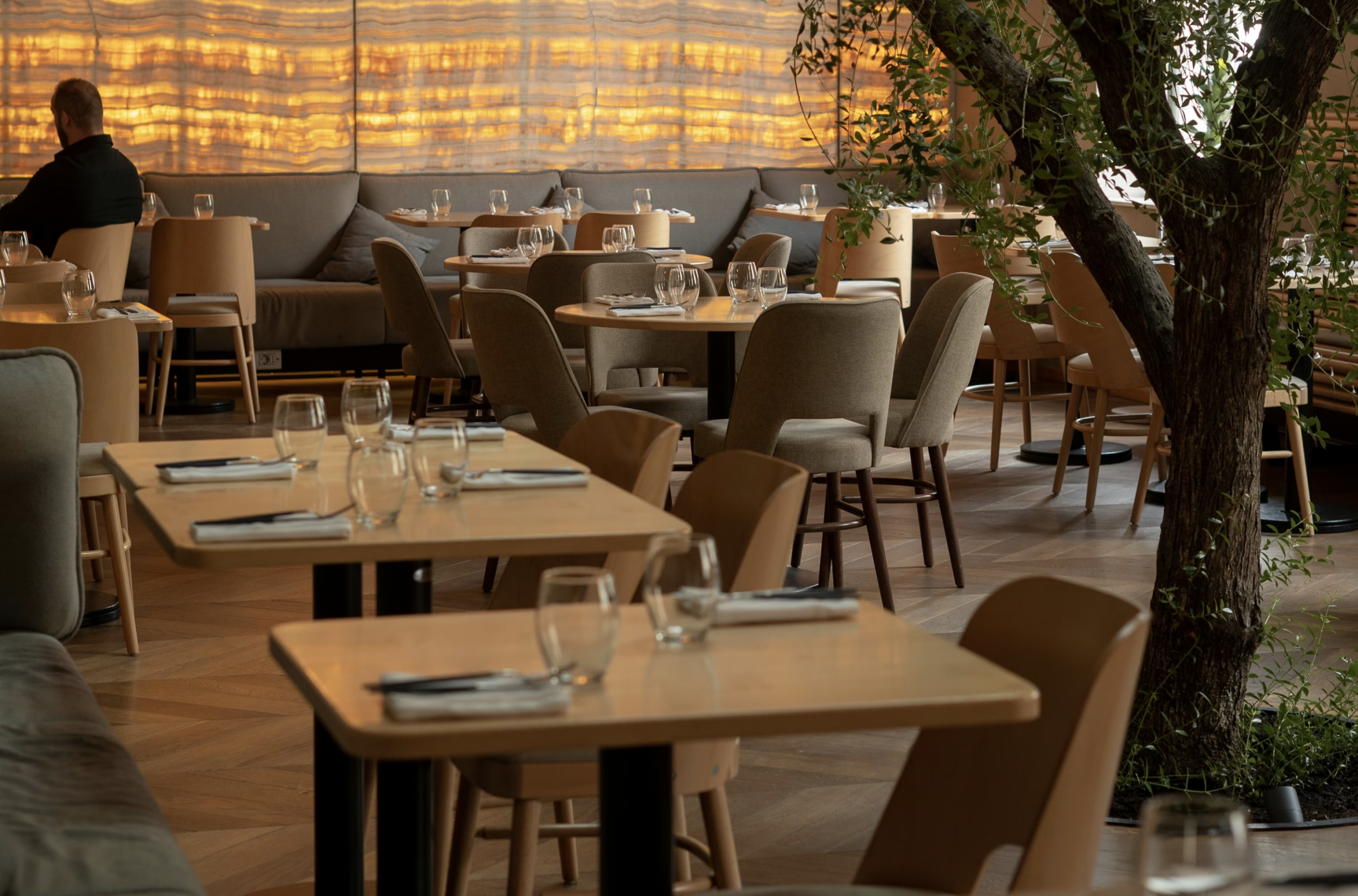 Restaurant dining area with wooden tables, glassware, and napkins; a man sits with his back to the camera on the left, warm amber lighting, and a large indoor tree on the right.