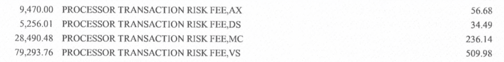 Line items showing processor transaction risk fees for different codes: AX, DS, MC, VS with corresponding amounts (e.g., 9,470.00 AX).